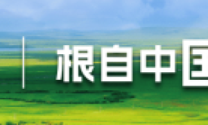 国麦携手西南民大共筑燕麦产业新生态 产学研融合赋能大健康市场